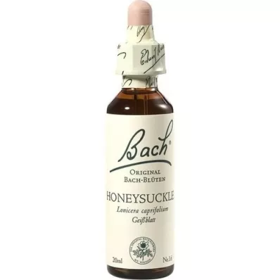 BACHBLÜTEN Kamperfoeliedruppels, 20 ml