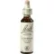 BACHBLÜTEN Haagbeukdruppels, 20 ml