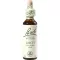 BACHBLÜTEN Lariksdruppels, 20 ml