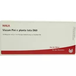 VISCUM PINI e planta tota D 60 ampullen, 10X1 ml