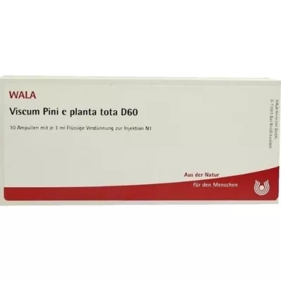 VISCUM PINI e planta tota D 60 ampullen, 10X1 ml VISCUM PINI e planta tota D 60 ampullen, 10X1 ml