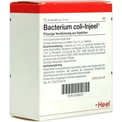 BACTERIUM COLI Injeel-ampullen, 10 stuks