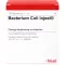 BACTERIUM COLI Injeel-ampullen, 10 stuks