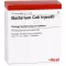 BACTERIUM COLI Injeel-ampullen, 10 stuks