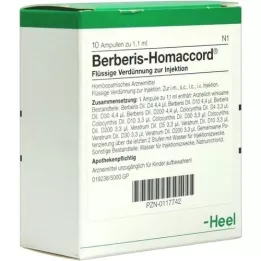 BERBERIS HOMACCORD Ampullen, 10 stuks