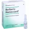 BERBERIS HOMACCORD Ampullen, 10 stuks