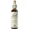 BACHBLÜTEN Pijnboomdruppels, 20 ml