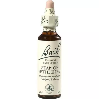 BACHBLÜTEN Ster van Bethlehem-druppels, 20 ml BACHBLÜTEN Ster van Bethlehem-druppels, 20 ml