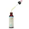 BACHBLÜTEN Ijzerkruiddruppels, 20 ml