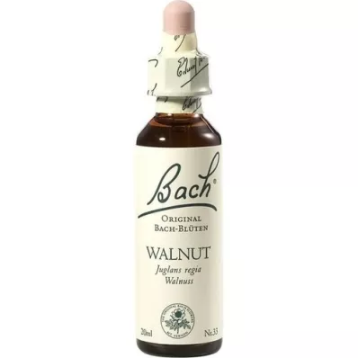 BACHBLÜTEN Walnootdruppels, 20 ml BACHBLÜTEN Walnootdruppels, 20 ml