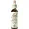 BACHBLÜTEN Witte Kastanjedruppels, 20 ml