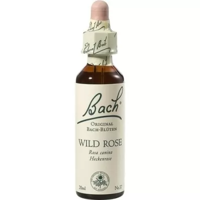 BACHBLÜTEN Wilde Rozendruppels, 20 ml BACHBLÜTEN Wilde Rozendruppels, 20 ml
