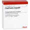 CANTHARIS INJEEL Ampullen, 10 stuks