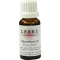 CERES Absinthium moedertinctuur, 20 ml