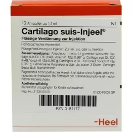 CARTILAGO suis Injeel ampullen, 10 stuks