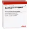 CARTILAGO suis Injeel ampullen, 10 stuks