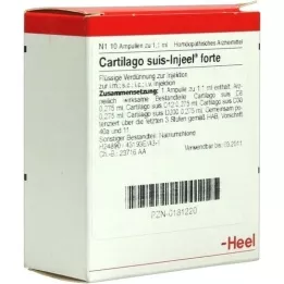 CARTILAGO suis Injeel forte ampullen, 10 stuks