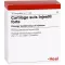 CARTILAGO suis Injeel forte ampullen, 10 stuks