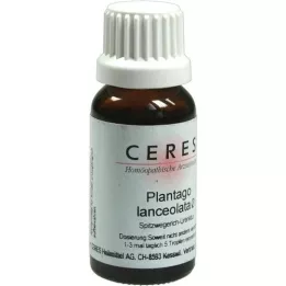 CERES Plantago lanceolata moedertinctuur, 20 ml