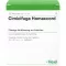 CIMICIFUGA HOMACCORD Ampullen, 10 stuks