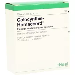 COLOCYNTHIS HOMACCORD Ampullen, 10 stuks