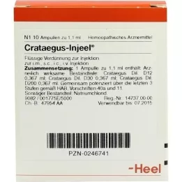 CRATAEGUS INJEEL Ampullen, 10 stuks