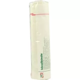 IDEALBINDE Lohmann 20 cmx5 m met luscel, 1 stuk