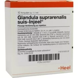 GLANDULA SUPRARENALIS suis Injeel ampullen, 10 stuks