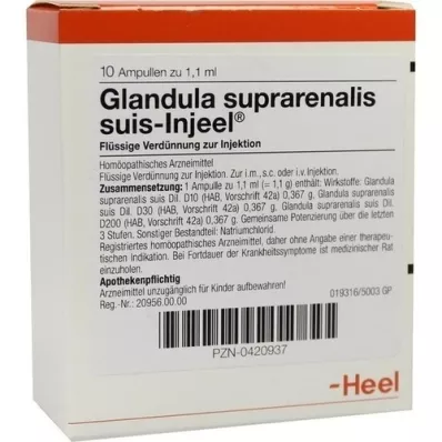 GLANDULA SUPRARENALIS suis Injeel ampullen, 10 stuks GLANDULA SUPRARENALIS suis Injeel ampullen, 10 stuks