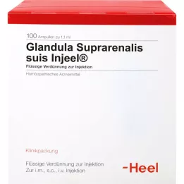 GLANDULA SUPRARENALIS suis Injeel ampullen, 100 st
