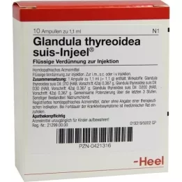 GLANDULA THYREOIDEA suis Injeel ampullen, 10 stuks