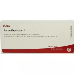 AURUM/EQUISETUM II Ampullen, 10X1 ml