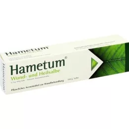 HAMETUM Wond- en genezende zalf, 100 g