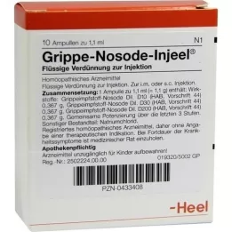 GRIPPE NOSODE Injeel-ampullen, 10 stuks