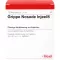 GRIPPE NOSODE Injeel-ampullen, 10 stuks