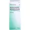 HAMAMELIS HOMACCORD Druppels, 30 ml