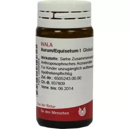 AURUM/EQUISETUM I-bolletjes, 20 g