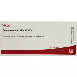 GALEA aponeurotica GL D 30 ampullen, 10X1 ml