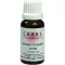 CERES Ginkgo dryopteris comp. druppels, 20 ml