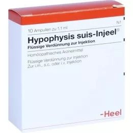 HYPOPHYSIS SUIS Injeel-ampullen, 10 stuks