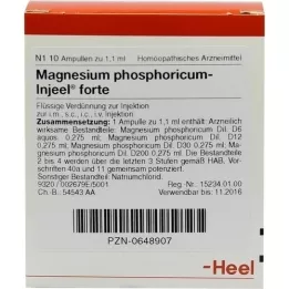 MAGNESIUM PHOSPHORICUM INJEEL forte ampullen, 10 stuks