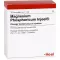MAGNESIUM PHOSPHORICUM INJEEL forte ampullen, 10 stuks