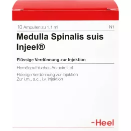 MEDULLA SPINALIS suis Injeel ampullen, 10 stuks