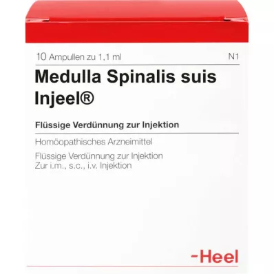MEDULLA SPINALIS suis Injeel ampullen, 10 stuks