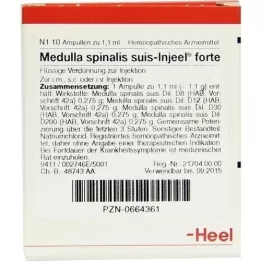 MEDULLA SPINALIS suis Injeel forte ampullen, 10 stuks