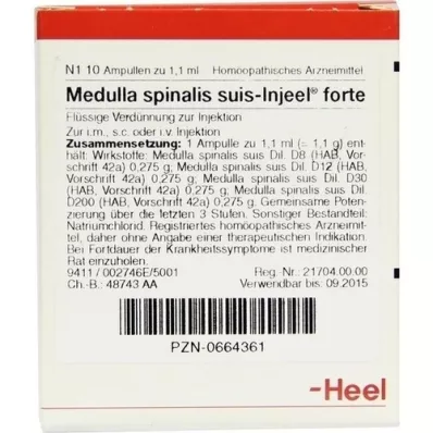 MEDULLA SPINALIS suis Injeel forte ampullen, 10 stuks