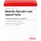 MEDULLA SPINALIS suis Injeel forte ampullen, 10 stuks