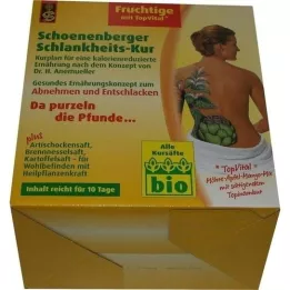 SCHLANKHEITSKUR Fruitige Schoenenberger, 1 p