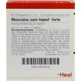 MUSCULUS SUIS Injeel forte ampullen, 10 stuks