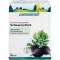 SCHWARZRETTICH Schoenenberger geneeskrachtige plantensappen, 3X200 ml
